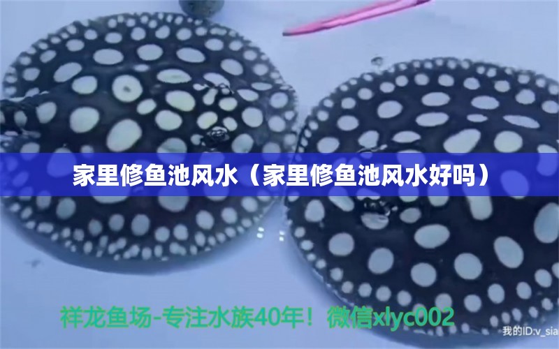 家里修魚池風(fēng)水（家里修魚池風(fēng)水好嗎） 魚缸風(fēng)水