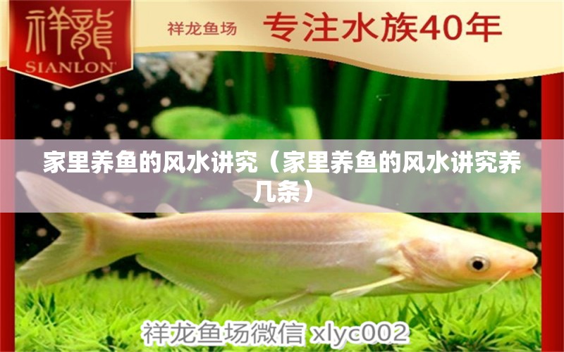 家里養(yǎng)魚的風水講究（家里養(yǎng)魚的風水講究養(yǎng)幾條）