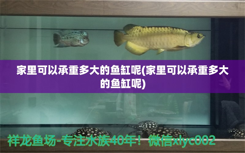 家里可以承重多大的魚缸呢(家里可以承重多大的魚缸呢)