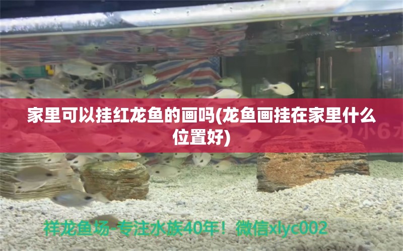 家里可以掛紅龍魚的畫嗎(龍魚畫掛在家里什么位置好)