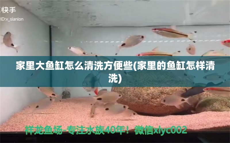 家里大魚缸怎么清洗方便些(家里的魚缸怎樣清洗) 雙線側(cè)魚