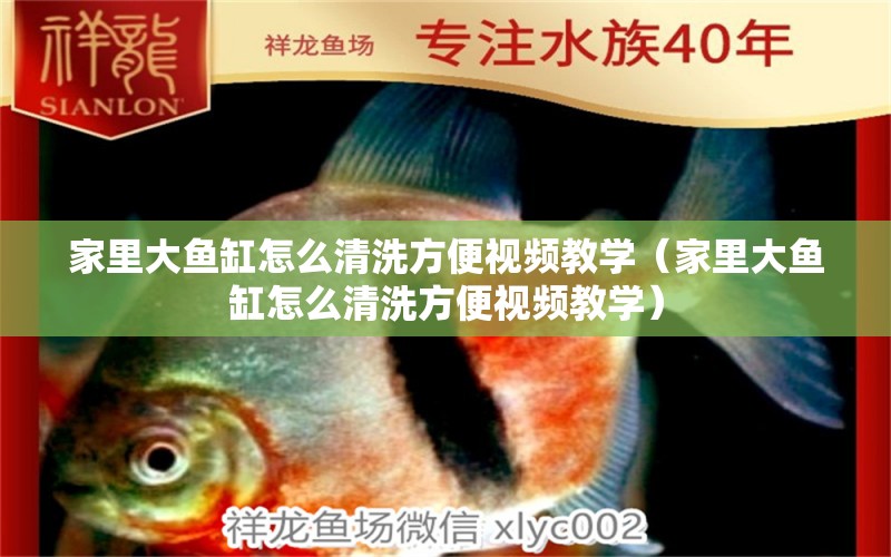 家里大魚缸怎么清洗方便視頻教學(xué)（家里大魚缸怎么清洗方便視頻教學(xué)）