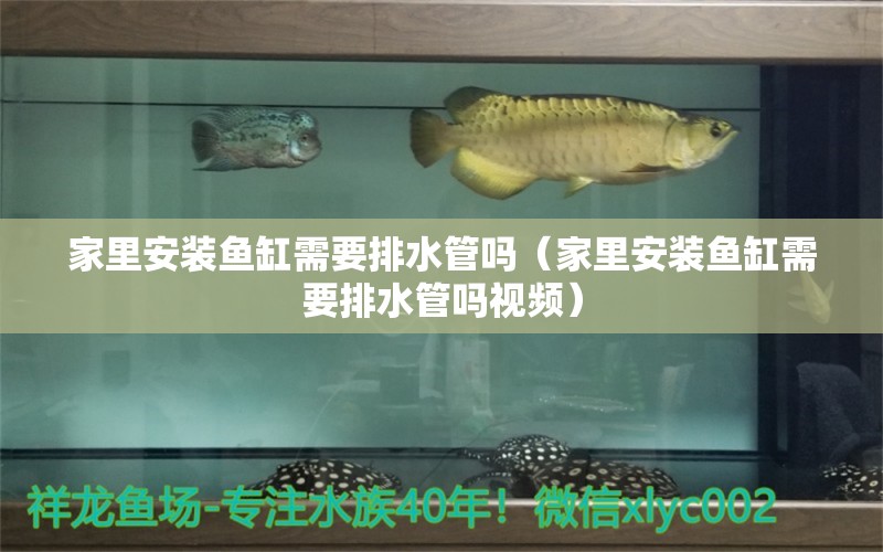 家里安裝魚缸需要排水管嗎（家里安裝魚缸需要排水管嗎視頻）