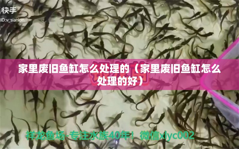 家里廢舊魚缸怎么處理的（家里廢舊魚缸怎么處理的好）