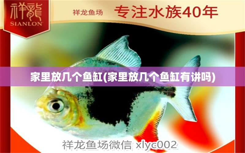 家里放幾個(gè)魚缸(家里放幾個(gè)魚缸有講嗎) 斑馬鴨嘴魚