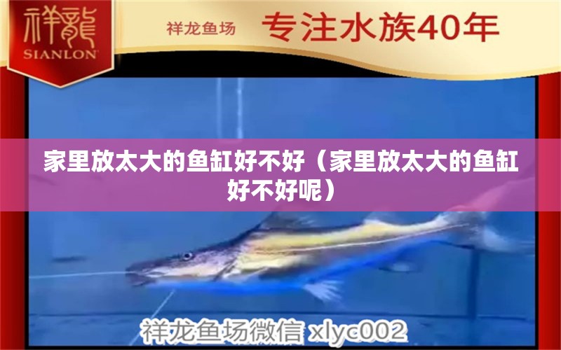 家里放太大的魚缸好不好（家里放太大的魚缸好不好呢）