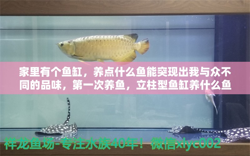 家里有個(gè)魚缸，養(yǎng)點(diǎn)什么魚能突現(xiàn)出我與眾不同的品味，第一次養(yǎng)魚，立柱型魚缸養(yǎng)什么魚比較好