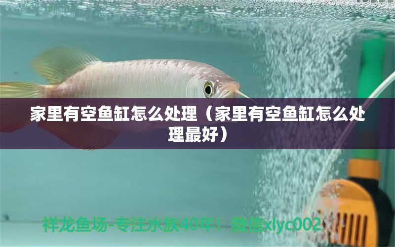 家里有空魚(yú)缸怎么處理（家里有空魚(yú)缸怎么處理最好） 水族燈（魚(yú)缸燈）