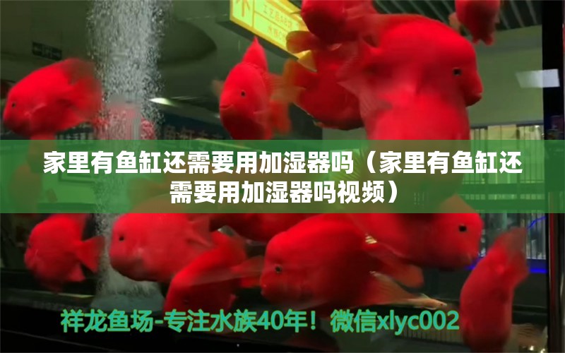 家里有魚缸還需要用加濕器嗎（家里有魚缸還需要用加濕器嗎視頻）