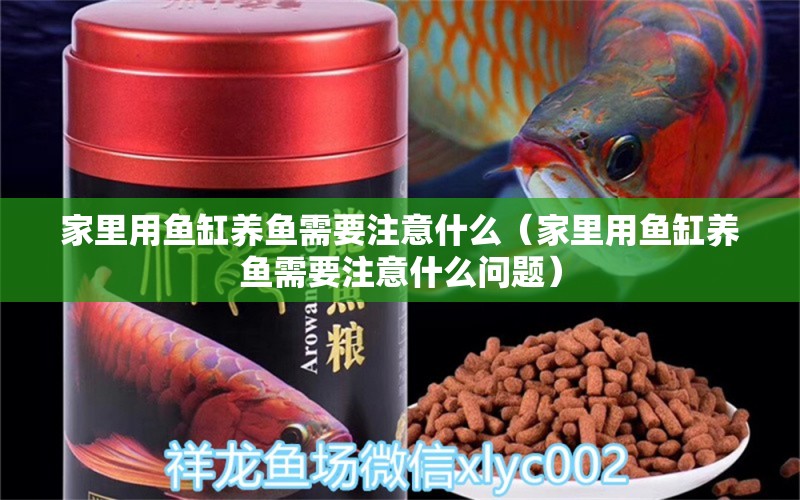 家里用魚缸養(yǎng)魚需要注意什么（家里用魚缸養(yǎng)魚需要注意什么問題）