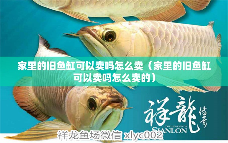 家里的舊魚缸可以賣嗎怎么賣（家里的舊魚缸可以賣嗎怎么賣的） 祥龍水族醫(yī)院