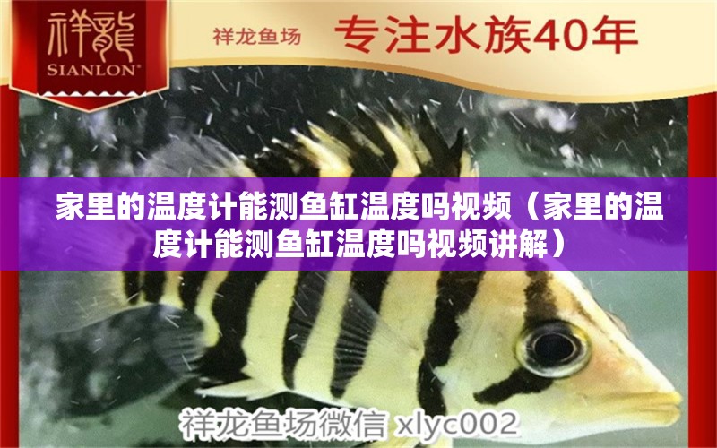 家里的溫度計能測魚缸溫度嗎視頻（家里的溫度計能測魚缸溫度嗎視頻講解） 祥龍水族醫(yī)院