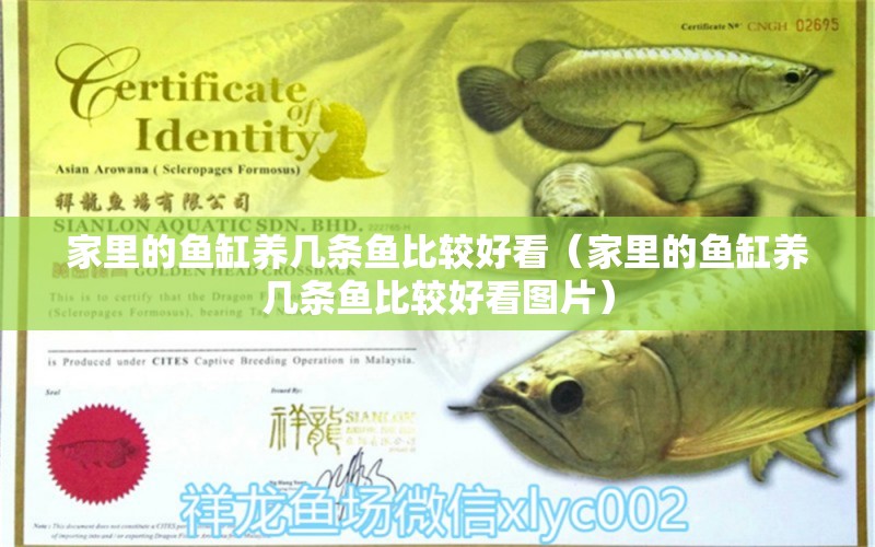 家里的魚缸養(yǎng)幾條魚比較好看（家里的魚缸養(yǎng)幾條魚比較好看圖片） 廣州觀賞魚批發(fā)市場