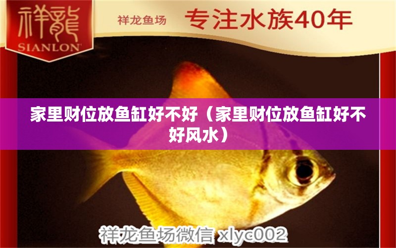 家里財位放魚缸好不好（家里財位放魚缸好不好風水）