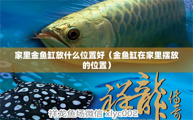 家里金魚缸放什么位置好（金魚缸在家里擺放的位置）