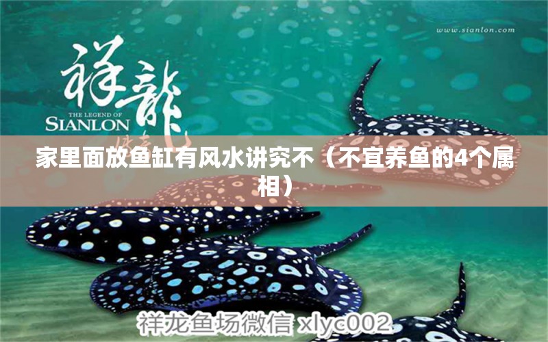 家里面放魚缸有風(fēng)水講究不（不宜養(yǎng)魚的4個屬相）