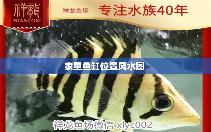 家里魚缸位置風(fēng)水圖 