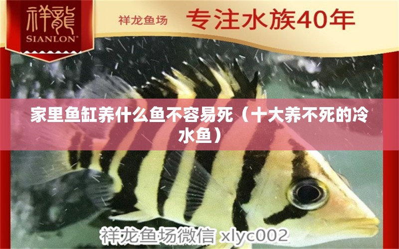 家里魚缸養(yǎng)什么魚不容易死（十大養(yǎng)不死的冷水魚）