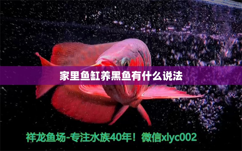 家里魚缸養(yǎng)黑魚有什么說(shuō)法