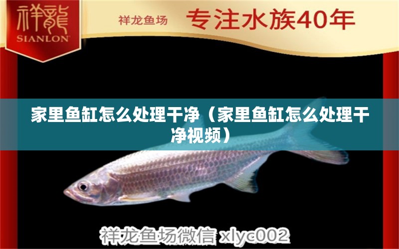 家里魚缸怎么處理干凈（家里魚缸怎么處理干凈視頻）