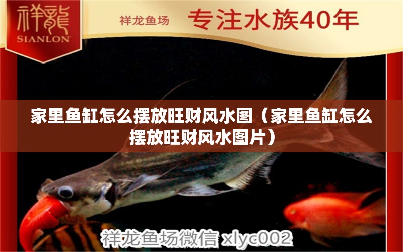 家里魚缸怎么擺放旺財風(fēng)水圖（家里魚缸怎么擺放旺財風(fēng)水圖片）