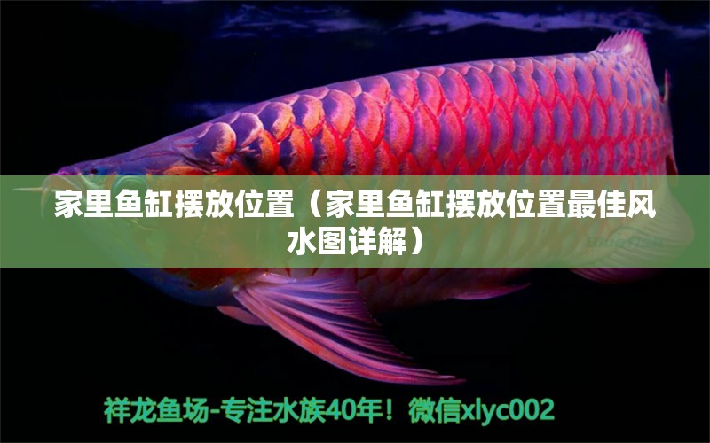 家里魚缸擺放位置（家里魚缸擺放位置最佳風水圖詳解） 魚缸風水