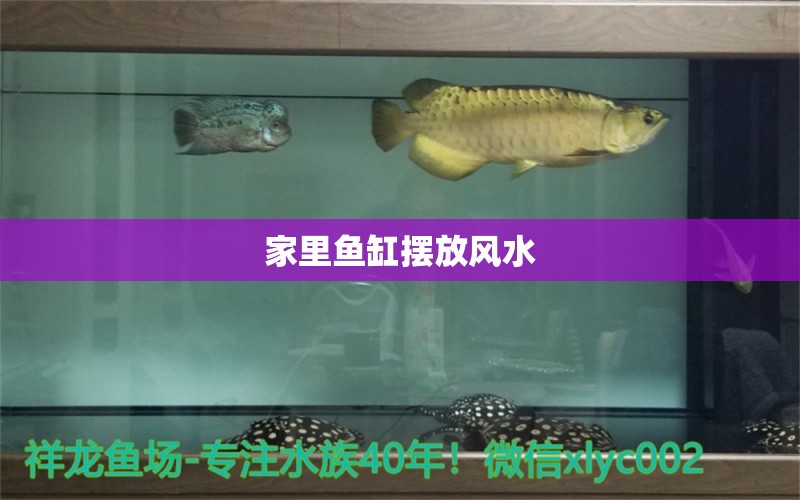 家里魚缸擺放風水 魚缸風水