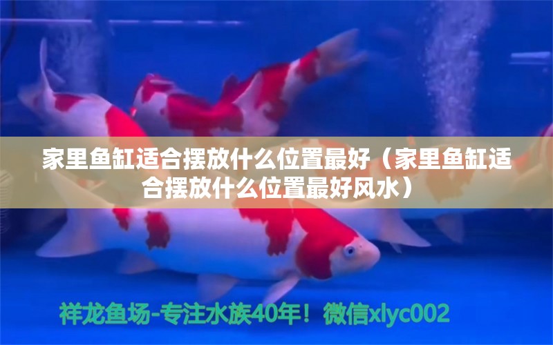 家里魚(yú)缸適合擺放什么位置最好（家里魚(yú)缸適合擺放什么位置最好風(fēng)水） 魚(yú)缸風(fēng)水