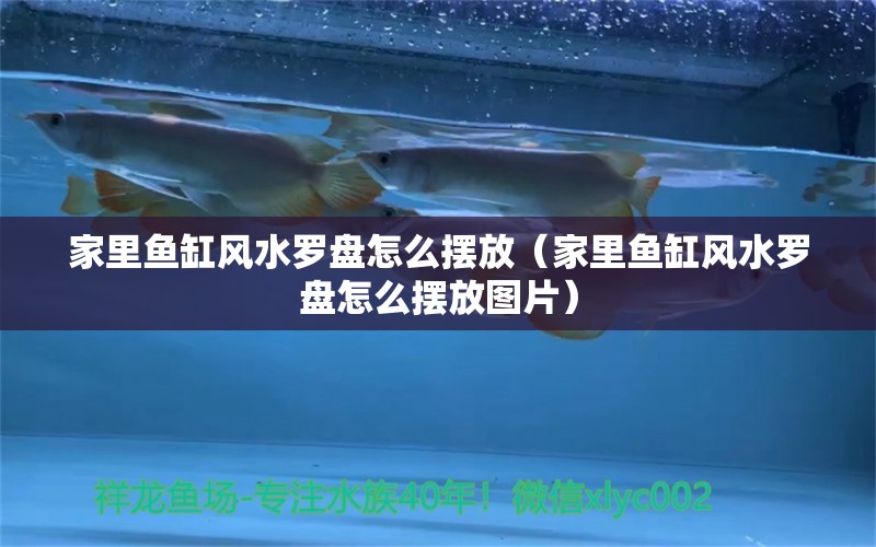 家里魚缸風(fēng)水羅盤怎么擺放（家里魚缸風(fēng)水羅盤怎么擺放圖片） 魚缸風(fēng)水