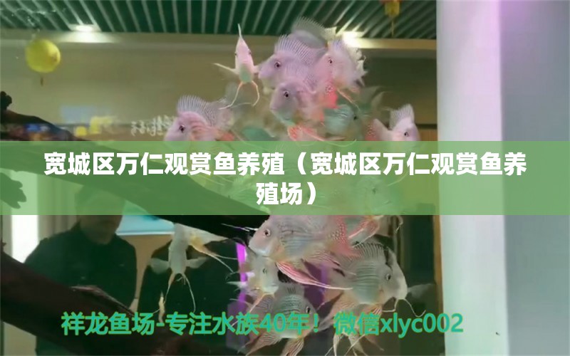 寬城區(qū)萬仁觀賞魚養(yǎng)殖（寬城區(qū)萬仁觀賞魚養(yǎng)殖場） 全國水族館企業(yè)名錄