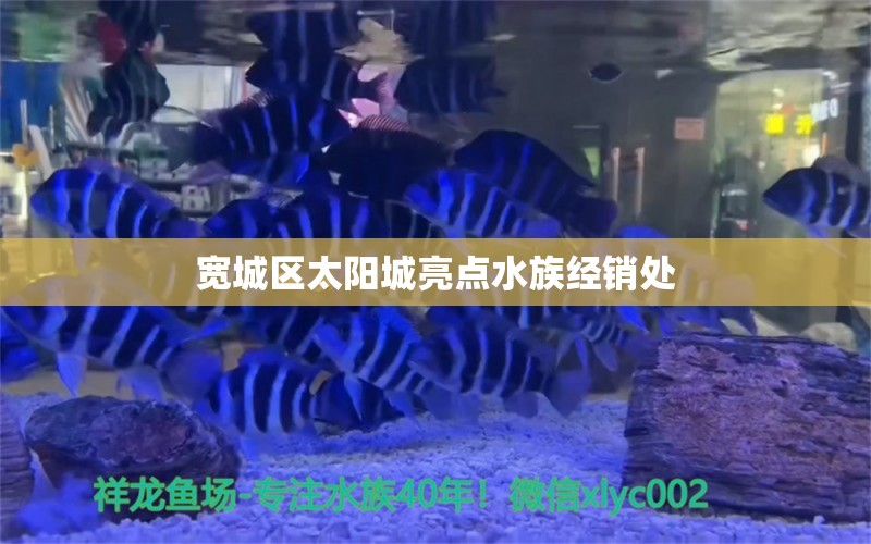 寬城區(qū)太陽城亮點(diǎn)水族經(jīng)銷處