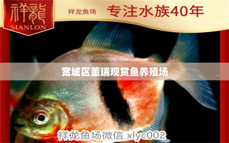 寬城區(qū)董瑞觀賞魚養(yǎng)殖場