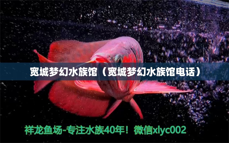 寬城夢(mèng)幻水族館（寬城夢(mèng)幻水族館電話）