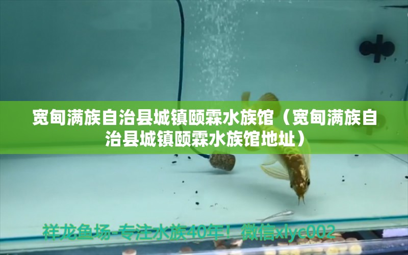 寬甸滿族自治縣城鎮(zhèn)頤霖水族館（寬甸滿族自治縣城鎮(zhèn)頤霖水族館地址）