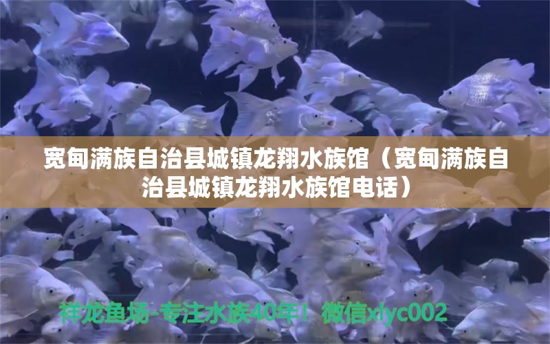 寬甸滿族自治縣城鎮(zhèn)龍翔水族館（寬甸滿族自治縣城鎮(zhèn)龍翔水族館電話）