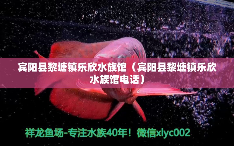 賓陽縣黎塘鎮(zhèn)樂欣水族館（賓陽縣黎塘鎮(zhèn)樂欣水族館電話）