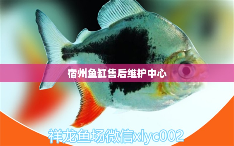 宿州魚缸售后維護(hù)中心 其他品牌魚缸