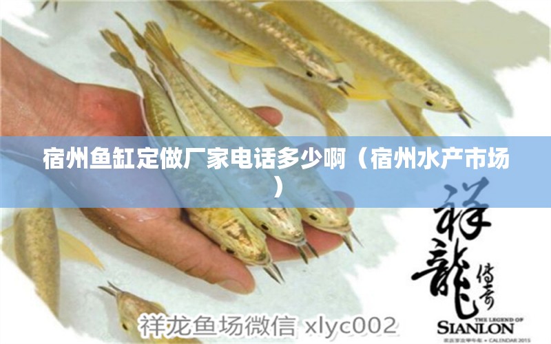 宿州魚(yú)缸定做廠家電話多少?。ㄋ拗菟a(chǎn)市場(chǎng)）