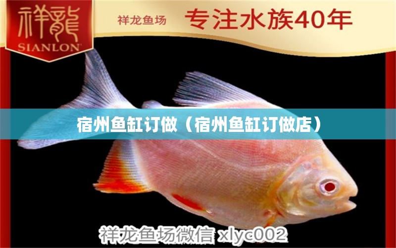 宿州魚缸訂做（宿州魚缸訂做店） 廣州龍魚批發(fā)市場(chǎng)