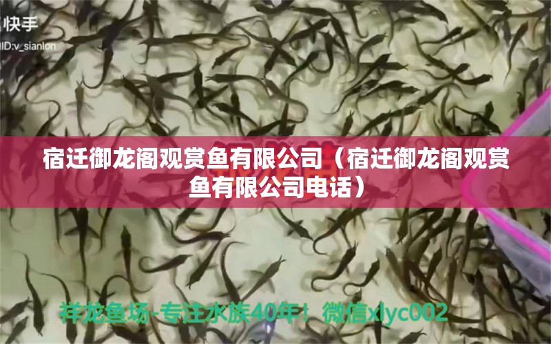 宿遷御龍閣觀賞魚有限公司（宿遷御龍閣觀賞魚有限公司電話） 全國水族館企業(yè)名錄