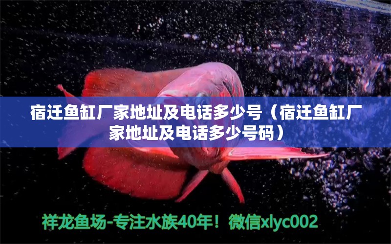 宿遷魚缸廠家地址及電話多少號（宿遷魚缸廠家地址及電話多少號碼） 可麗愛魚缸