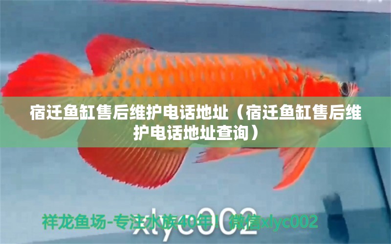 宿遷魚缸售后維護(hù)電話地址（宿遷魚缸售后維護(hù)電話地址查詢）