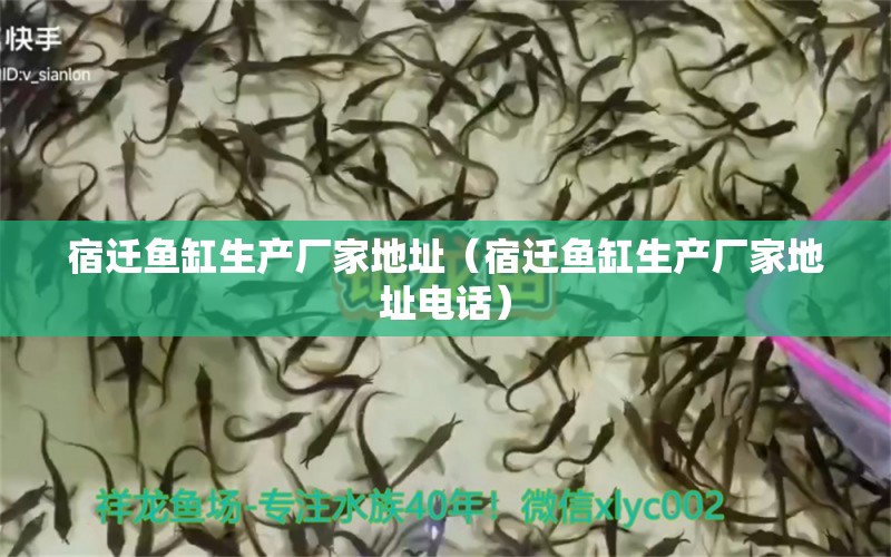 宿遷魚(yú)缸生產(chǎn)廠家地址（宿遷魚(yú)缸生產(chǎn)廠家地址電話）