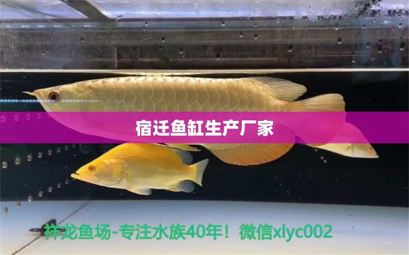 宿遷魚(yú)缸生產(chǎn)廠家 其他品牌魚(yú)缸