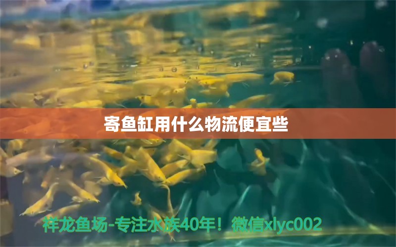 寄魚缸用什么物流便宜些 