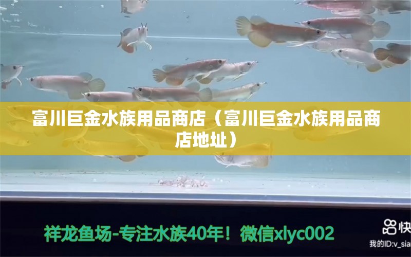 富川巨金水族用品商店（富川巨金水族用品商店地址） 水族用品