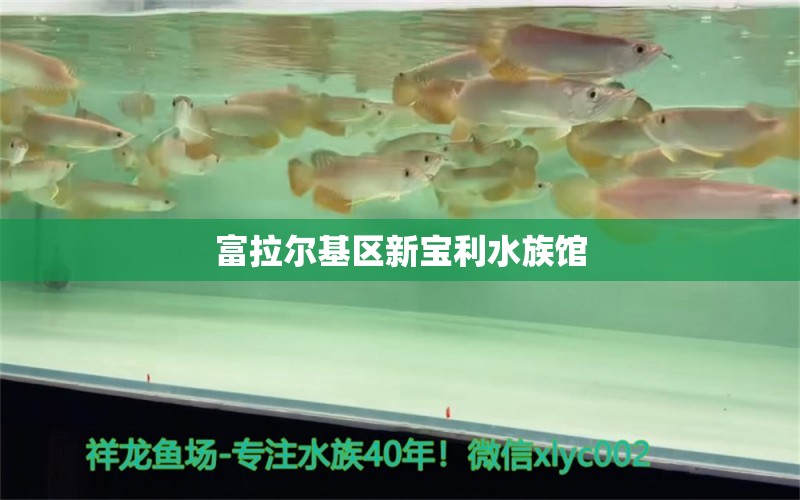 富拉爾基區(qū)新寶利水族館