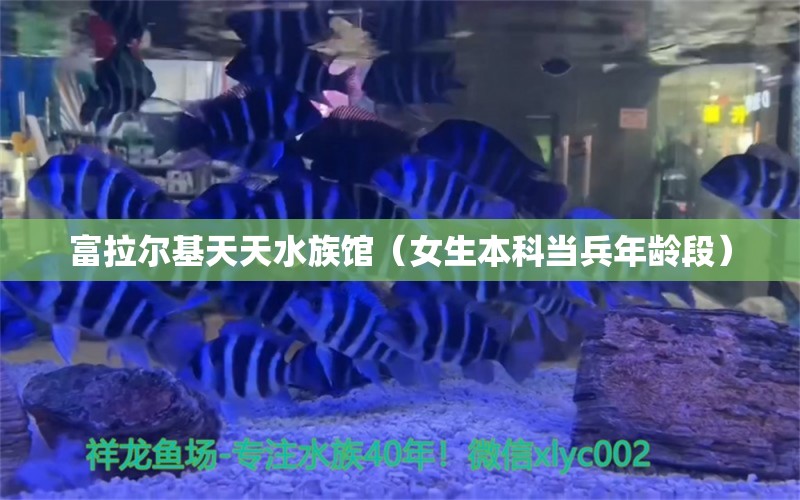 富拉爾基天天水族館（女生本科當兵年齡段）