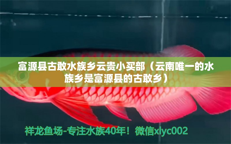 富源縣古敢水族鄉(xiāng)云貴小買部（云南唯一的水族鄉(xiāng)是富源縣的古敢鄉(xiāng)） 全國水族館企業(yè)名錄