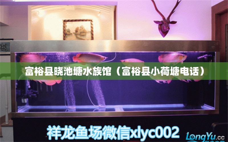 富?？h曉池塘水族館（富?？h小荷塘電話） 全國(guó)水族館企業(yè)名錄